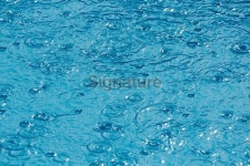Raindrops falling a swimming pool during heavy shower 이미지 (176685598) - 게티이미지뱅크 Raindrops falling a swimming pool... 