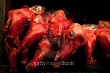 세일쇼핑옹진축산 | Meat For Sale 이미지 (461989523) - 게티이미지뱅크 Meat For Sale