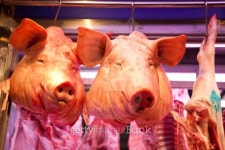 세일쇼핑옹진축산 | Meat For Sale 이미지 (462475227) - 게티이미지뱅크 Meat For Sale