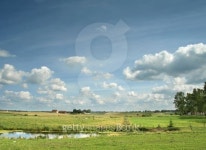 summer landscape 이미지 (179132167) - 게티이미지뱅크 summer landscape