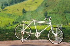 Old bicycle park with green background 이미지 (187466469) - 게티이미지뱅크 Old bicycle park with green background