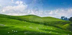 Land scape of green field and blue sky 이미지 (176679206) - 게티이미지뱅크 Land scape of green field and blue sky