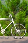 Old bicycle park with green background 이미지 (187467787) - 게티이미지뱅크 Old bicycle park with green background