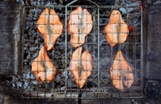 Salmon a grill 이미지 (178727376) - 게티이미지뱅크 Salmon a grill