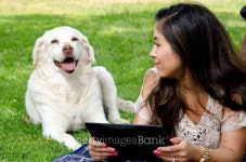 with my pet 이미지 (178411675) - 게티이미지뱅크 with my pet