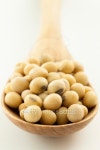 soy beans 이미지 (185891497) - 게티이미지뱅크 soy beans