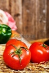 Close-up of tomatoes on straw at farmers market 이미지 (176426395) - 게티이미지뱅크 Close-up of tomatoes on straw at farmers... 