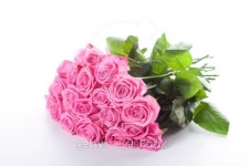 Bouquet of pink roses 이미지 (179251195) - 게티이미지뱅크 Bouquet of pink roses