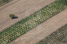 Aerial view tree 이미지 (459982583) - 게티이미지뱅크 Aerial view tree