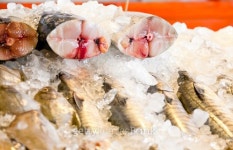 fish on ice in market 이미지 (175363678) - 게티이미지뱅크 fish on ice in market