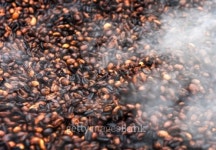 Roasted steaming coffee beans 이미지 (461186403) - 게티이미지뱅크 Roasted steaming coffee beans
