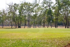 green grass texture from golf field 이미지 (452215283) - 게티이미지뱅크 green grass texture from golf field