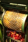 Organic coffee M(오가닉커피엠) | organic coffee beans. 이미지 (175023513) - 게티이미지뱅크 organic coffee beans.