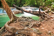 Waterfall and blue stream in the forest Thailand 이미지 (177790682) - 게티이미지뱅크 Waterfall and blue stream in the forest... 