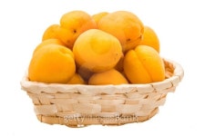 Yellow bright apricots 이미지 (452517679) - 게티이미지뱅크 Yellow bright apricots