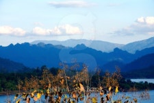 Blue River and  Cerulean Sky in Wide Frame 이미지 (185880998) - 게티이미지뱅크 Blue River and  Cerulean Sky in Wide Frame