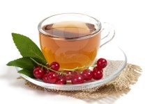 Fruit tea in cup with red currant 이미지 (179767635) - 게티이미지뱅크 Fruit tea in cup with red currant