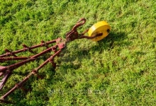 farming tool 이미지 (185179202) - 게티이미지뱅크 farming tool