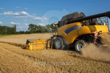 Yellov combine on field harvesting gold wheat 이미지 (163690105) - 게티이미지뱅크 Yellov combine on field harvesting gold wheat