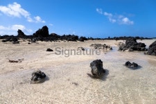 Paradise Beach 이미지 (174869109) - 게티이미지뱅크 Paradise Beach