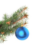 Christmas decoration-glass ball on fir branches. 이미지 (178871643) - 게티이미지뱅크 Christmas decoration-glass ball on fir... 