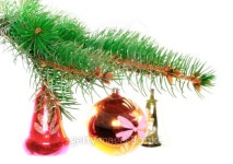 Christmas decoration-glass ball on fir branches. 이미지 (178720152) - 게티이미지뱅크 Christmas decoration-glass ball on fir... 