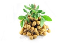 Truss Fruit - Longan on white background. 이미지 (180938874) - 게티이미지뱅크 Truss Fruit - Longan on white background.