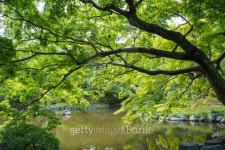 outdoor park 이미지 (453431511) - 게티이미지뱅크 outdoor park