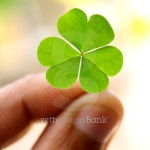 Hand holding three leaf clover 이미지 (178032139) - 게티이미지뱅크 Hand holding three leaf clover