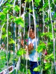 Little Boy Under the Mulberry Bush 이미지 (186068466) - 게티이미지뱅크 Little Boy Under the Mulberry Bush