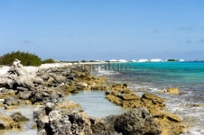 saltplain on the island of bonaire 이미지 (181080266) - 게티이미지뱅크 saltplain on the island of bonaire