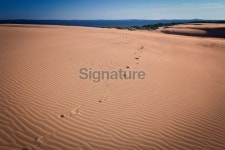 Sand dunes in sunset 이미지 (180817482) - 게티이미지뱅크 Sand dunes in sunset