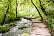 Plitvice lakes - wooden pathway. 이미지 (179251433) - 게티이미지뱅크 Plitvice lakes - wooden pathway.
