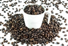Coffee Bean 이미지 (450225255) - 게티이미지뱅크 Coffee Bean