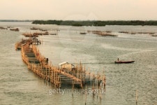 Fishing farm 이미지 (187809149) - 게티이미지뱅크 Fishing farm