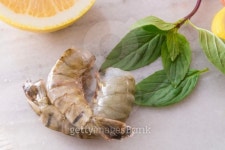 fresh shrimps 이미지 (176741119) - 게티이미지뱅크 fresh shrimps