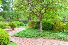 Formal garden at spring 이미지 (176721641) - 게티이미지뱅크 Formal garden at spring