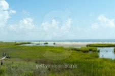 Marshland By Ocean 이미지 (180425103) - 게티이미지뱅크 Marshland By Ocean