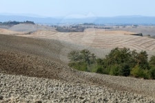 Crete Senesi -  landscape of the  Tuscany 이미지 (451568525) - 게티이미지뱅크 Crete Senesi -  landscape of the  Tuscany