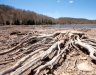 Driftwood And A Lake 이미지 (177809454) - 게티이미지뱅크 Driftwood And A Lake