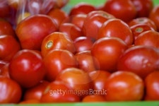 Lao Tomatos 이미지 (187810246) - 게티이미지뱅크 Lao Tomatos