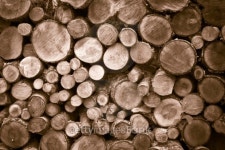 wood background 이미지 (178994217) - 게티이미지뱅크 wood background
