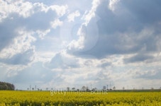 Blue sky near Chrudim 이미지 (487536061) - 게티이미지뱅크 Blue sky near Chrudim