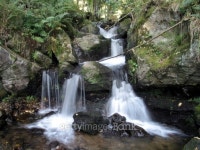 Wasserfall in den Alpen 이미지 (481245077) - 게티이미지뱅크 Wasserfall in den Alpen