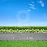 Jogging track 이미지 (488081535) - 게티이미지뱅크 Jogging track