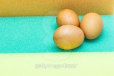 Eggs on sponge 이미지 (517798871) - 게티이미지뱅크 Eggs on sponge