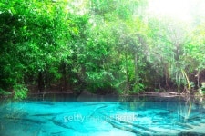 Blue lake in deep forest 이미지 (488199479) - 게티이미지뱅크 Blue lake in deep forest