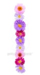 Flower alphabet 이미지 (520737569) - 게티이미지뱅크 Flower alphabet