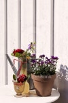 Cottage flower arrangement 이미지 (478925797) - 게티이미지뱅크 Cottage flower arrangement