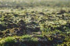 Soil 이미지 (505444049) - 게티이미지뱅크 Soil